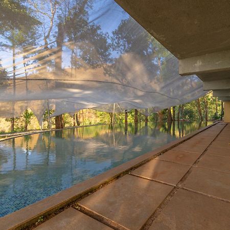 Hotel Q Swarga Retreat Attigundi Esterno foto